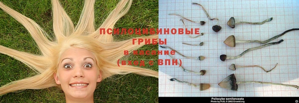 марки nbome Вяземский