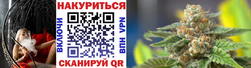 где купить наркоту  Чегем  Конопля Bruce Banner 